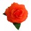 ROSA FLAMENCA GRANDE | Yuly