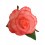 ROSA FLAMENCA PEQUEÑA DIFUMINADA