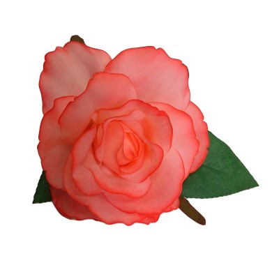 ROSA FLAMENCA GRANDE DIFUMINADA