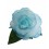 ROSA FLAMENCA PEQUEÑA DIFUMINADA