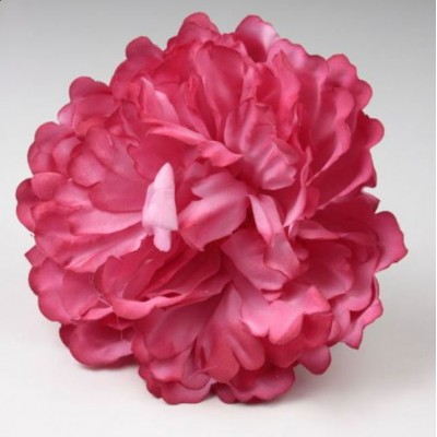 PEONIA FLAMENCA FUCSIA |Yuly